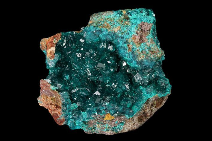 Gemmy Dioptase Crystal Cluster - N'tola Mine, Congo #148464